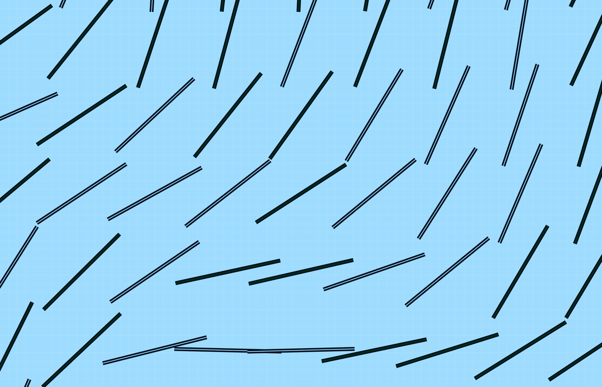 Ranked Choice Voting